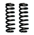 Skyjacker springs