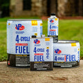 VP 4CYCLE FUEL: ETHANOLFREE SMALL ENGINE FUEL