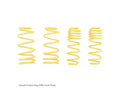 ST Sport-tech Lowering Springs BMW E46 Sedan+Coupe