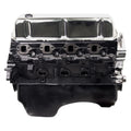 FORD 302 HI-PO 81-97 ENG