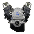 FORD 302 HI-PO 81-97 ENG