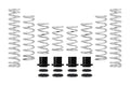Eibach springs