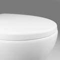 8540MACERATOR TOILET W/SLOW CLOSE PLASTIC SEAT HANDWAVE SWITCH 12V WHT