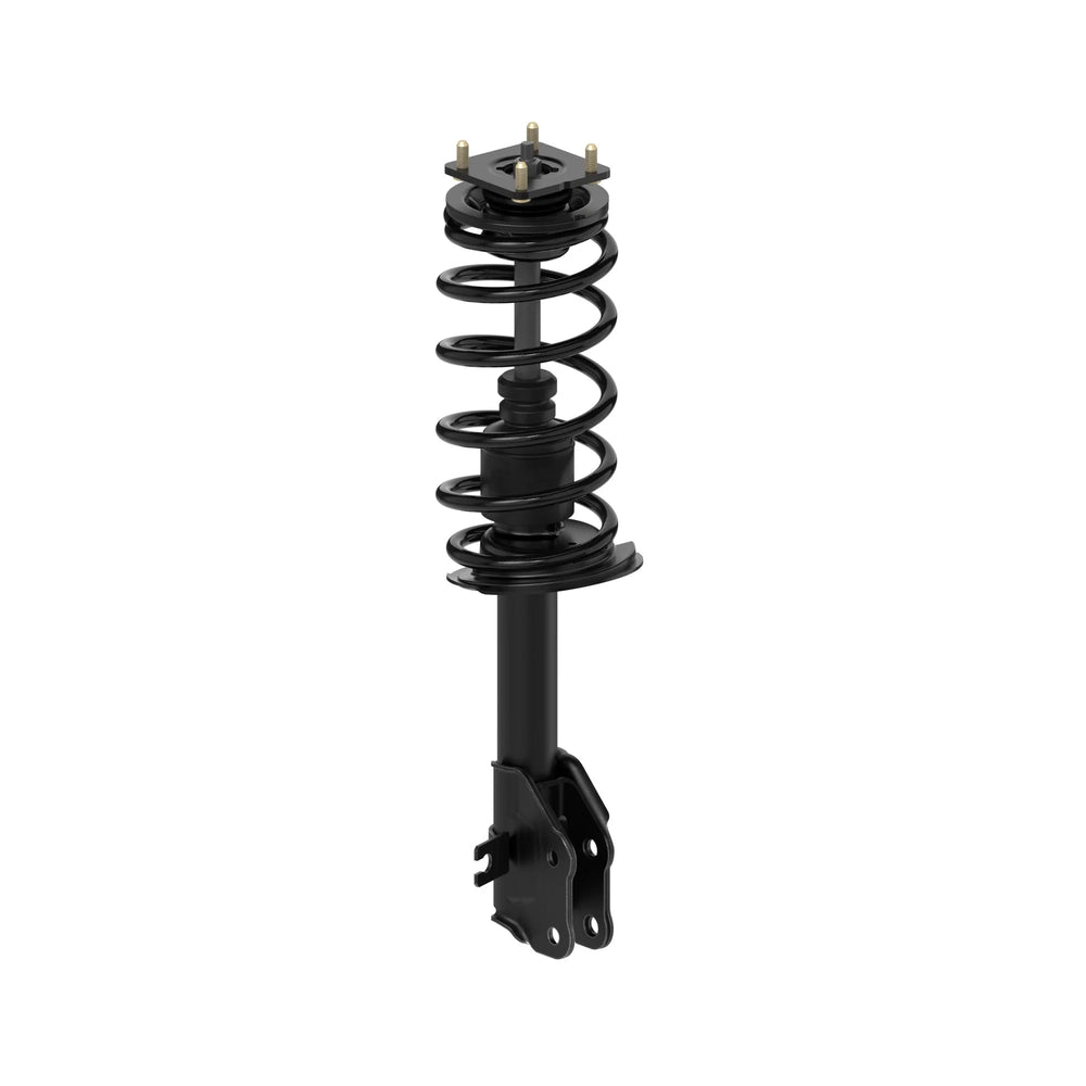 ROADMATIC STRUT ASSEMBLY