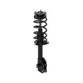 ROADMATIC STRUT ASSEMBLY