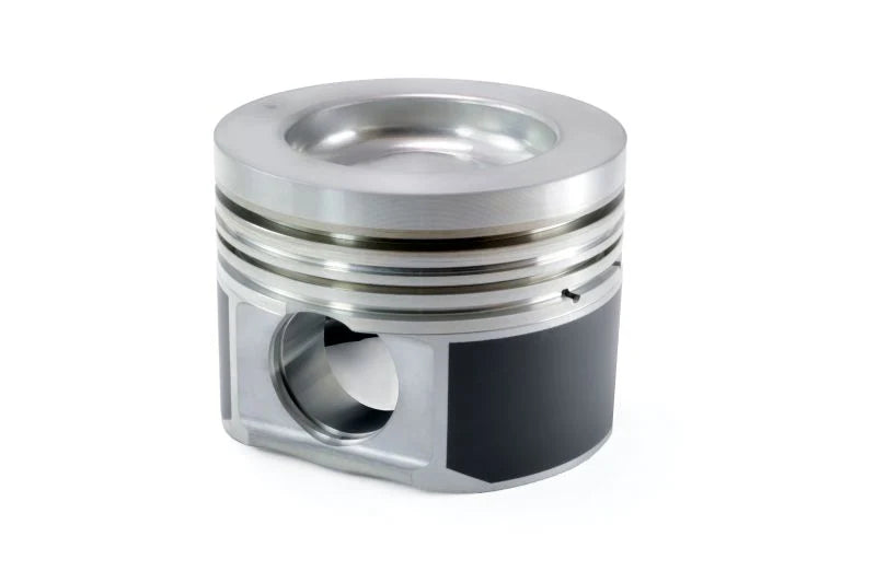 Piston Kit