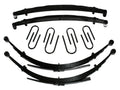 Skyjacker leaf springs