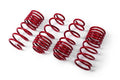 AST 04/2016- Nissan EXPERT STANDARD Lowering Springs - 30mm/40mm