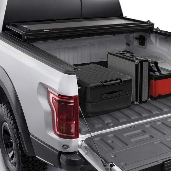 ~(67 lbs. 72X31X7)~ 2018+ Ford Expedition Lampguards