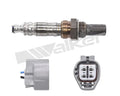 Walker Products Inc. - auto part