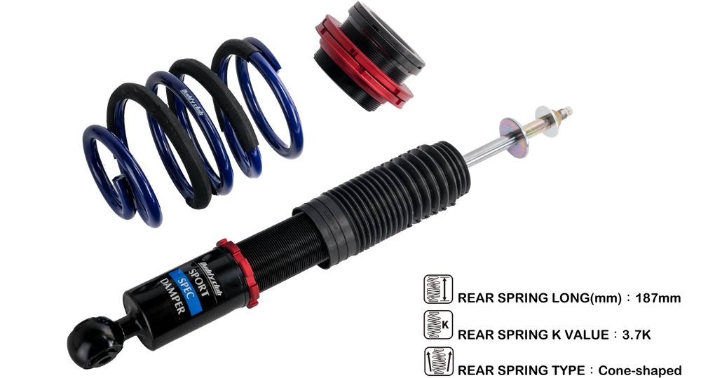 Buddy Club N Damper Kit