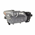 Maxzone Vehicle Lighting Corp headlights detail