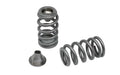 Rotax 900 ACE Beehive Spring Titanium Retainers