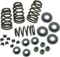 S&S Cycle 04-19 XL Valve Spring Kit - .650in