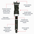 Air Lift auto part detail