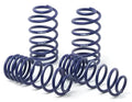 H&R 06-11 Audi A6 Avant/A6 Avant Quattro (2WD/4WD) 4F Street Perf. Coil Over (w/o Self-Leveling)