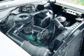 XE 218/224 Hyd Flat Cam Pontiac 265-455