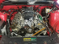 Magnum 206/206 Hyd Roller Cam Ford 5.0L