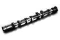 CAMSHAFT PROCAM G4KF IN 272-11.50