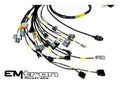 Rywire Honda K-Series (w/Emtron KV8 ECU) Engine Harness w/Chassis Specific Adapter