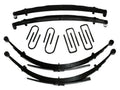 Skyjacker leaf springs