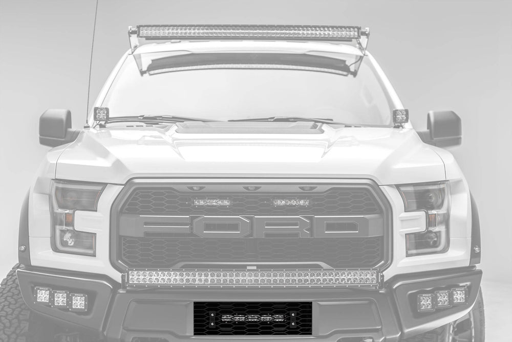 Zroadz black light bar
