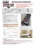 HKS auto part