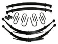 Skyjacker leaf springs