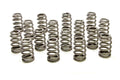 PAC RACING SPRINGS springs
