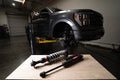 Eibach shock absorber detail