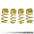 D+ Lowering Springs, Macan 2.0