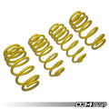 D+ Lowering Springs, Macan 2.0