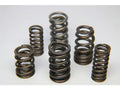 Ferrea Acura/Honda B18C1/C3 Dual Valve Spring - Set of 16