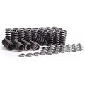 Ferrea Racing springs