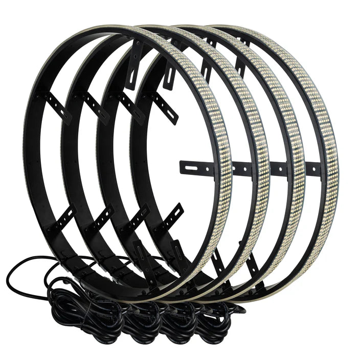 Oracle LED Illuminated Wheel Rings - XTREME Illumination - 5-Row LED - White