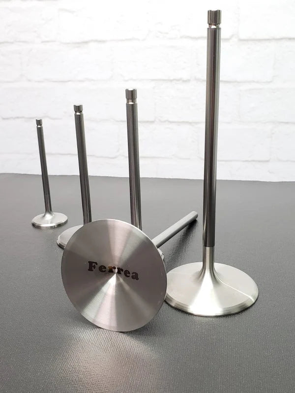 Ferrea Racing titanium intake system