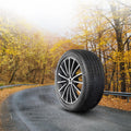 Michelin Primacy MXM4 265/50R19 110H XL