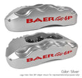 14" Pro+ Brake Sys RR Slvr 97-04 Vette