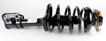ROADMATIC STRUT ASSEMBLY