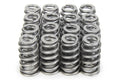 1.290 Valve Springs - Ovate Beehive (16)