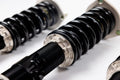 BC Racing Coilovers DS Series 94-01 Honda Integra (Rear Fork)