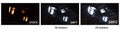 Diode Dynamics 28mm SMF2 LED Bulb - Amber (Pair)