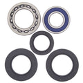 All Balls Racing auto part detail