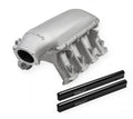 SHOCK STL BULB SCHR