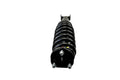 PERFORMANCE LEVELING STRUT - RAM 15