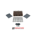 Ferrea Nissan GT-R VR38DETT Dual Spring Kit