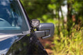 MORIMOTO 4BANGER DITCH LIGHT KIT: 2
