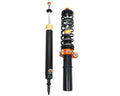 AST 91-95 Honda Civic EG3 FWD 5100 Comp Coilovers w/ Springs & Top Mounts