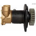 PUMP BRZ FLG 040 BSP