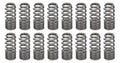 1.031 RPM Series Valve Springs - Beehive (16)